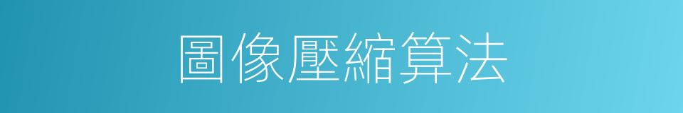 圖像壓縮算法的同義詞