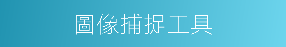 圖像捕捉工具的同義詞