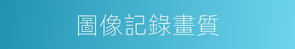 圖像記錄畫質的同義詞