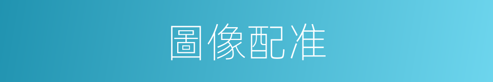 圖像配准的同義詞