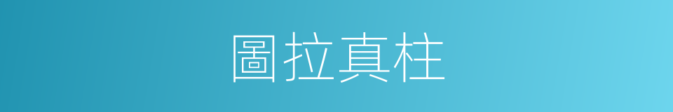 圖拉真柱的同義詞