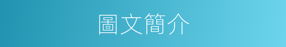 圖文簡介的同義詞