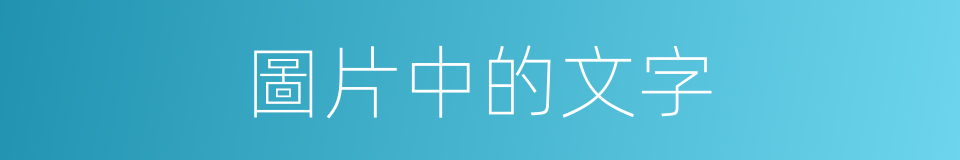 圖片中的文字的同義詞