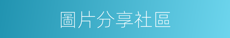 圖片分享社區的同義詞