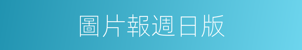圖片報週日版的同義詞