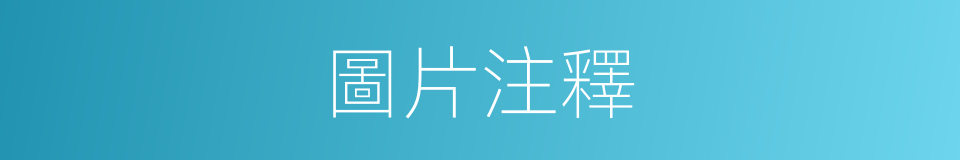 圖片注釋的意思