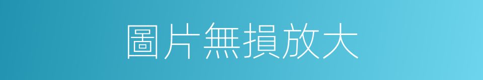 圖片無損放大的同義詞