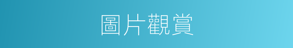 圖片觀賞的同義詞