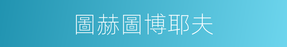 圖赫圖博耶夫的同義詞