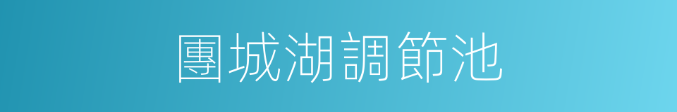 團城湖調節池的同義詞