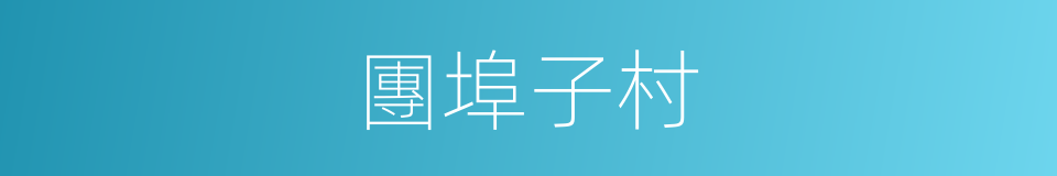 團埠子村的同義詞