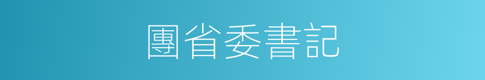 團省委書記的同義詞