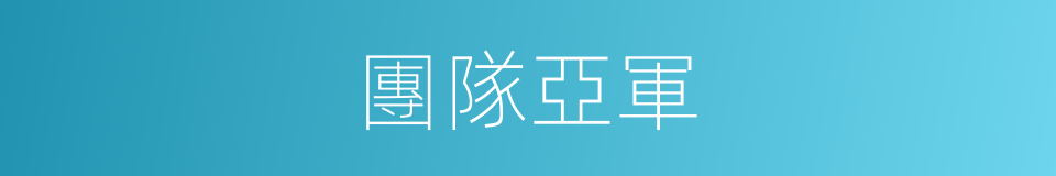 團隊亞軍的同義詞