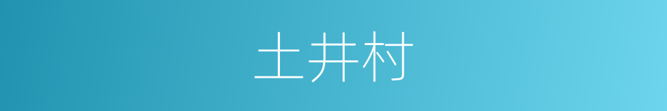 土井村的同义词