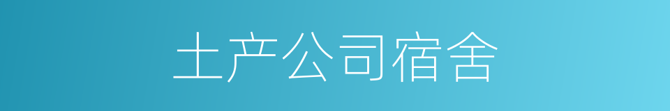土产公司宿舍的同义词