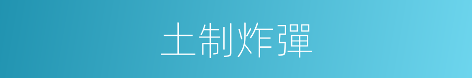 土制炸彈的同義詞