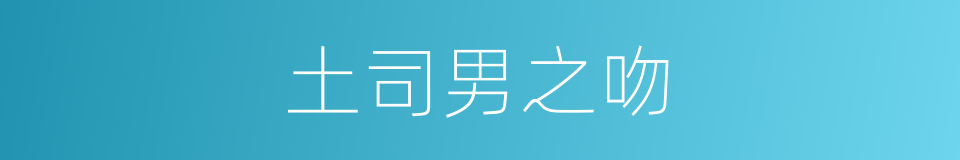 土司男之吻的同义词