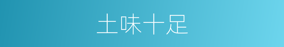 土味十足的同义词