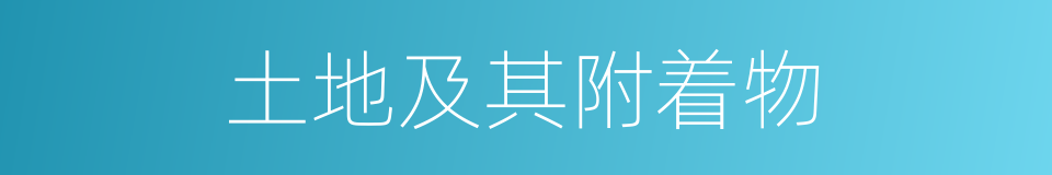 土地及其附着物的同义词