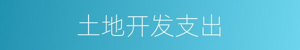 土地开发支出的同义词