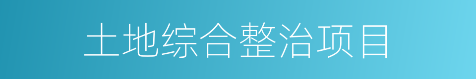 土地综合整治项目的同义词