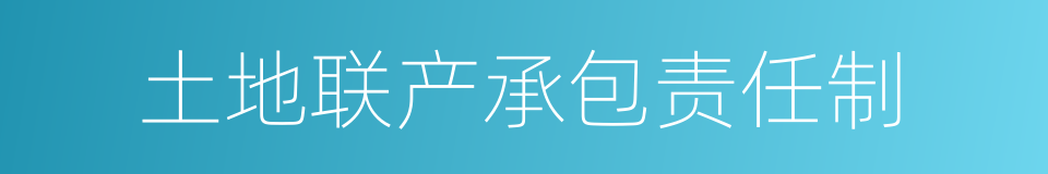 土地联产承包责任制的同义词