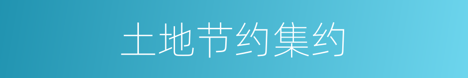 土地节约集约的同义词