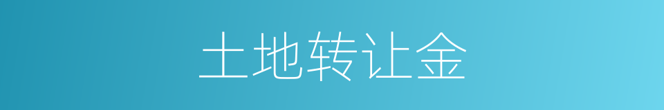 土地转让金的同义词