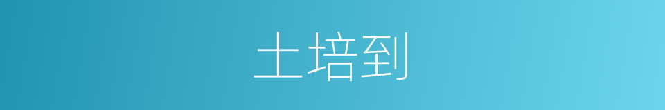 土培到的同义词