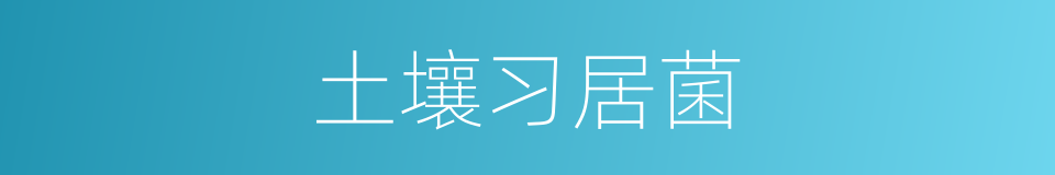 土壤习居菌的同义词