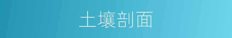 土壤剖面的意思