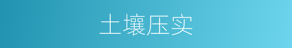 土壤压实的同义词