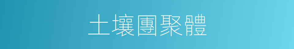 土壤團聚體的同義詞