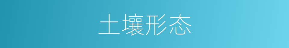 土壤形态的同义词