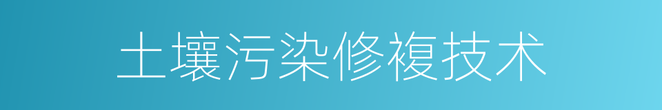 土壤污染修複技术的同义词