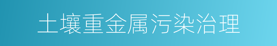 土壤重金属污染治理的同义词