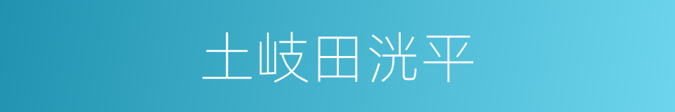 土岐田洸平的同义词