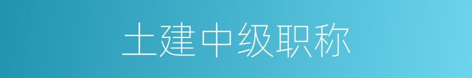 土建中级职称的同义词