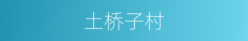 土桥子村的同义词