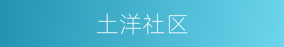 土洋社区的同义词