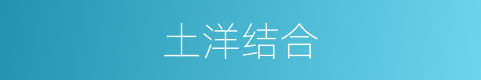 土洋结合的意思