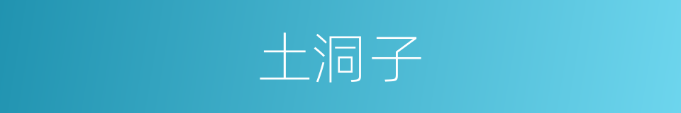 土洞子的同义词