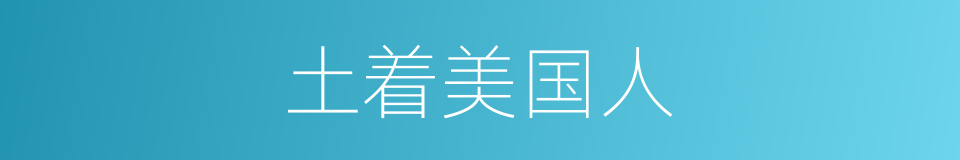土着美国人的同义词