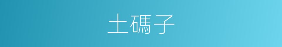 土碼子的意思