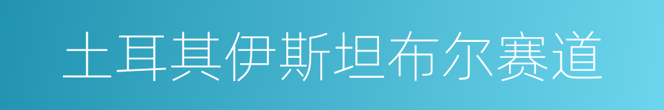 土耳其伊斯坦布尔赛道的同义词