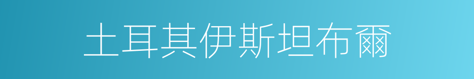 土耳其伊斯坦布爾的同義詞