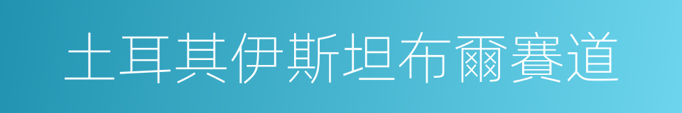 土耳其伊斯坦布爾賽道的同義詞