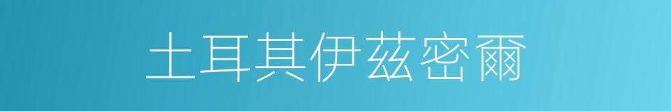 土耳其伊茲密爾的同義詞