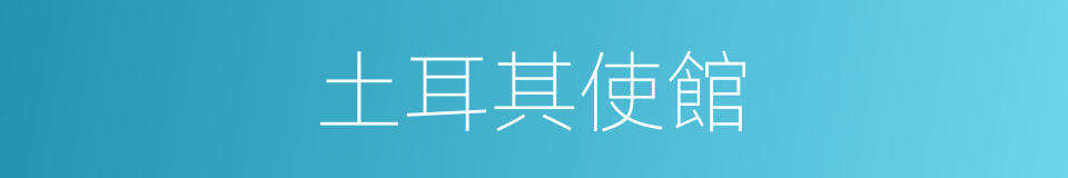 土耳其使館的同義詞