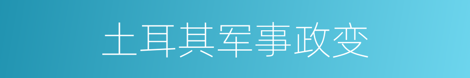 土耳其军事政变的同义词